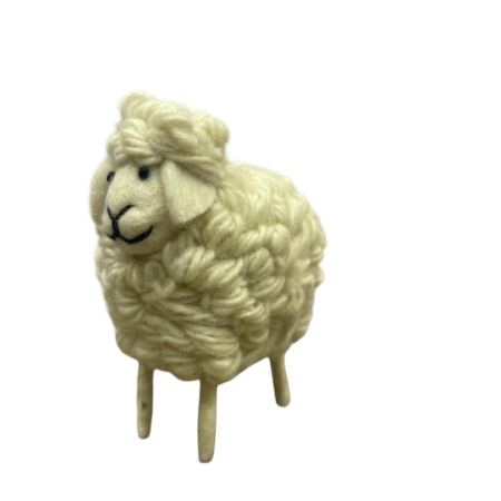 Wool Sheep