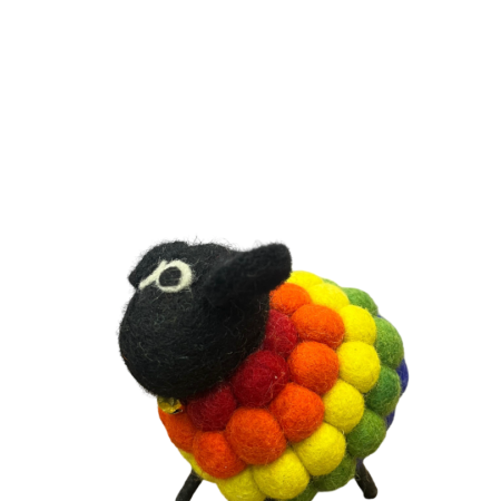 Rainbow sheep